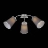 Потолочная люстра Evoluce Maleonte SLE103002-03 фото 2 — Дзинь ля-ля