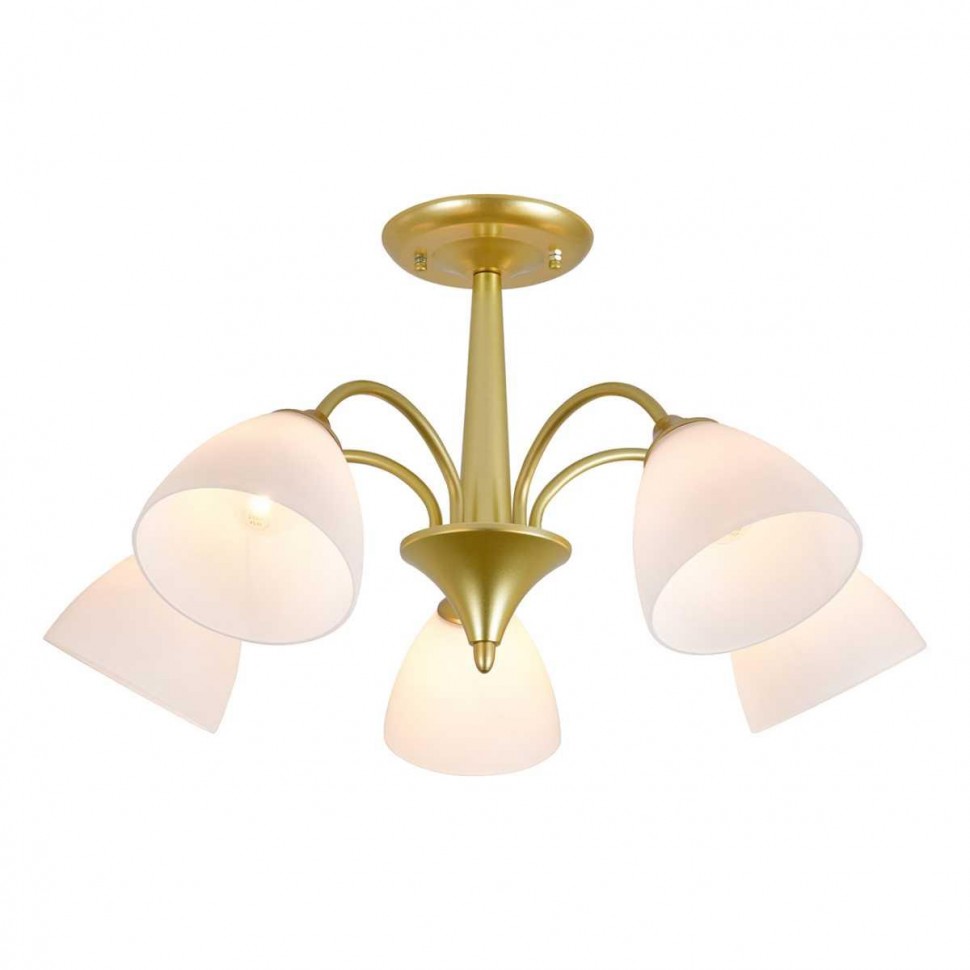 Потолочный светильник Escada ILEX ES0000033 фото 1 &mdash; Дзинь ля-ля