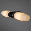 Подсветка для зеркал Arte Lamp Aqua A1209AP-2CC фото 2 — Дзинь ля-ля