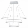 Подвесной светодиодный светильник ST Luce ST603.543.114 фото 1 — Дзинь ля-ля