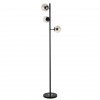 Торшер Evoluce Lacotta SLE154905-03 фото 1 &mdash; Дзинь ля-ля