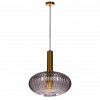 Подвесной светильник Loft IT IRIS 2070-С+BR фото 1 — Дзинь ля-ля