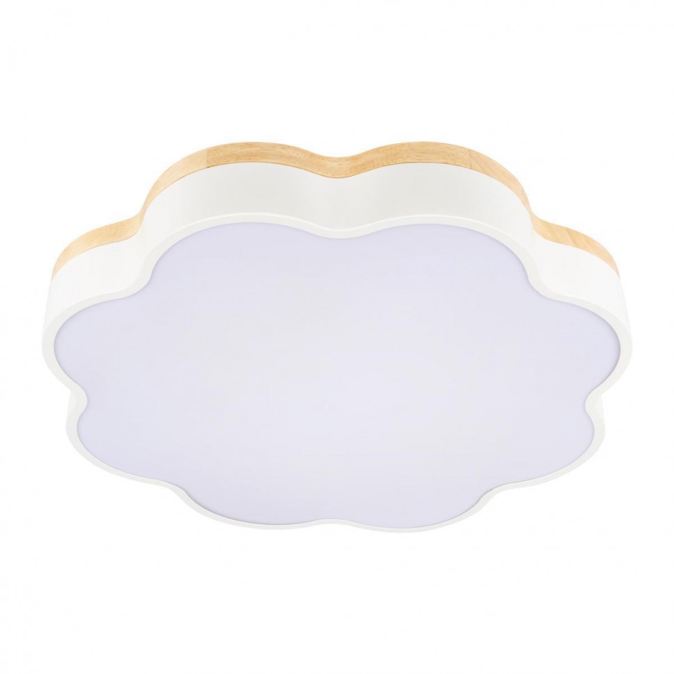 Потолочный светодиодный светильник Loft IT Axel 10225/36 White фото 1 — Дзинь ля-ля