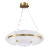Подвесной светодиодный светильник ST Luce Etoile SL1304.203.45 фото 1 — Дзинь ля-ля