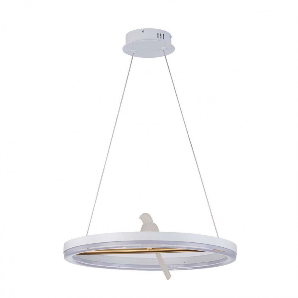 Подвесной светодиодный светильник F-Promo Bardy 4653-1P фото 1 &mdash; Дзинь ля-ля