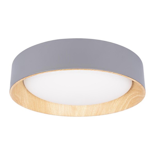 Потолочный светодиодный светильник Loft IT Coin 10202 Grey — Дзинь ля-ля