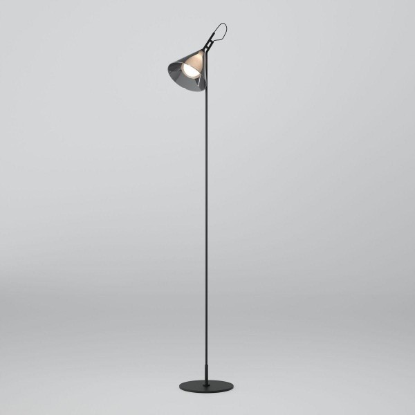 Торшер Eurosvet Enigma 01187/1 черный &mdash; Дзинь ля-ля