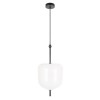 Подвесной светодиодный светильник Loft IT Venice 10223/D White фото 1 — Дзинь ля-ля