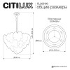 Люстра Citilux DRYAD CL305160 фото 8 &mdash; Дзинь ля-ля
