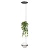 Подвесной светодиодный светильник Loft IT Jardin 10121/1P Dark grey фото 1 — Дзинь ля-ля