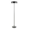 Торшер Arte Lamp Skat A7052PN-2BK фото 1 &mdash; Дзинь ля-ля