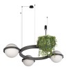 Подвесной светодиодный светильник Loft IT Jardin 10121/3 Dark grey фото 3 — Дзинь ля-ля
