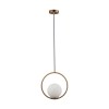 Подвесной светильник Loft IT Glob LOFT2600-A фото 1 — Дзинь ля-ля