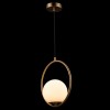 Подвесной светильник Loft IT Glob LOFT2600-A фото 5 — Дзинь ля-ля