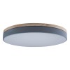 Потолочный светодиодный светильник Loft IT Axel 10001/36 grey фото 1 — Дзинь ля-ля