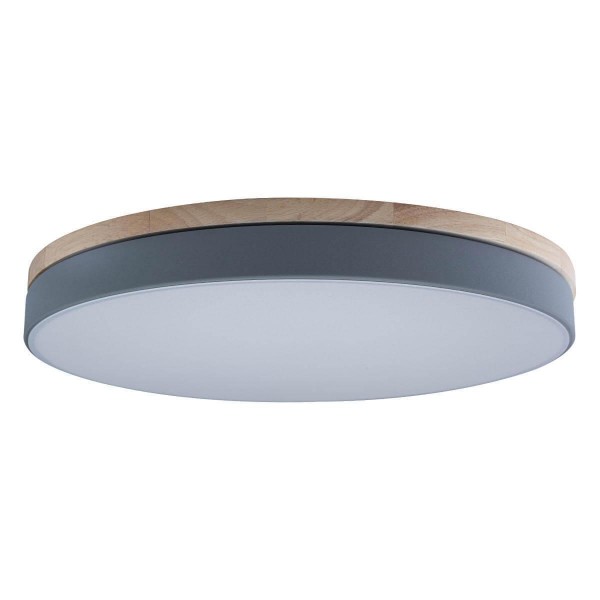 Потолочный светодиодный светильник Loft IT Axel 10001/36 grey — Дзинь ля-ля