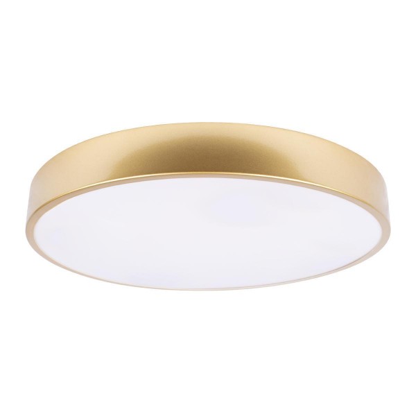 Потолочный светодиодный светильник Loft IT Flims 10228/A — Дзинь ля-ля