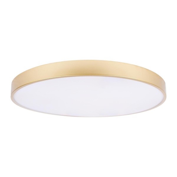 Потолочный светодиодный светильник Loft IT Flims 10228/B — Дзинь ля-ля