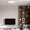 Потолочный светодиодный светильник Loft IT Flims 10228/B фото 5 &mdash; Дзинь ля-ля