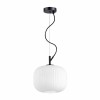 Подвесной светильник Odeon Light Pendant Roofi 4753/1 фото 3 &mdash; Дзинь ля-ля