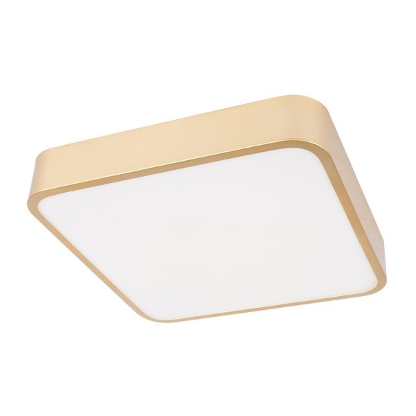 Потолочный светодиодный светильник Loft IT Flims 10228/C — Дзинь ля-ля