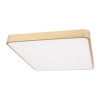 Потолочный светодиодный светильник Loft IT Flims 10228/D фото 1 — Дзинь ля-ля