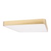 Потолочный светодиодный светильник Loft IT Flims 10228/D фото 2 — Дзинь ля-ля