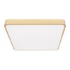 Потолочный светодиодный светильник Loft IT Flims 10228/D фото 4 — Дзинь ля-ля
