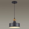 Подвесной светильник Odeon Light Pendant Bolli 4088/1 фото 2 &mdash; Дзинь ля-ля