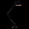 Торшер Arte Lamp Goliath A2487PN-1BK фото 2 — Дзинь ля-ля