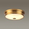 Настенно-потолочный светильник Odeon Light Walli Marsei 4824/3C фото 4 &mdash; Дзинь ля-ля