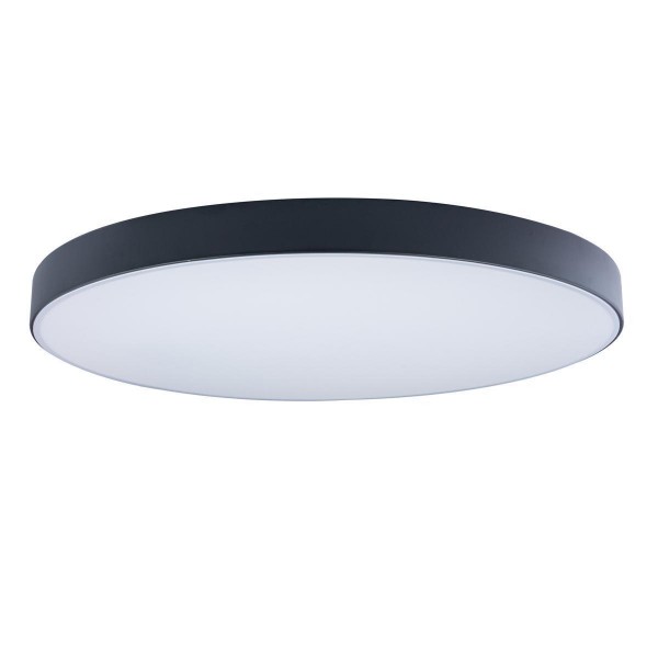 Потолочный светодиодный светильник Loft IT Axel 10002/48 black — Дзинь ля-ля