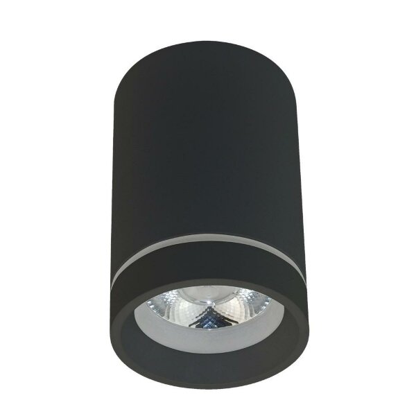 Потолочный светодиодный светильник Aployt Edda APL.0053.19.10 — Дзинь ля-ля
