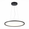 Подвесной светодиодный светильник ST Luce ST602.443.56 фото 1 — Дзинь ля-ля