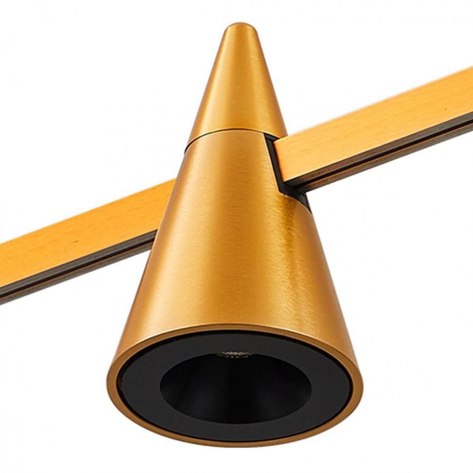 Трековый светодиодный светильник ST Luce Farm ST813.206.05 фото 1 &mdash; Дзинь ля-ля