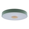 Потолочный светодиодный светильник Loft IT Axel 10003/24 green фото 1 — Дзинь ля-ля