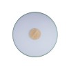 Потолочный светодиодный светильник Loft IT Axel 10003/24 green фото 2 — Дзинь ля-ля