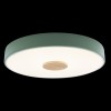 Потолочный светодиодный светильник Loft IT Axel 10003/24 green фото 6 — Дзинь ля-ля