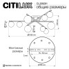 Потолочная люстра Citilux Glob CL209291 фото 2 &mdash; Дзинь ля-ля