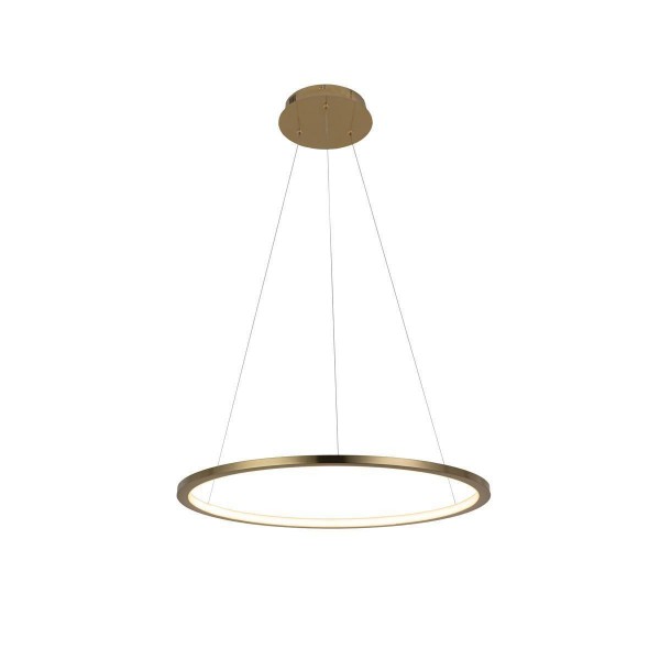 Подвесной светодиодный светильник Loft IT Ring 10014M — Дзинь ля-ля