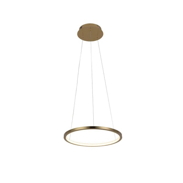 Подвесной светодиодный светильник Loft IT Ring 10014S — Дзинь ля-ля