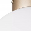 Настенно-потолочный светильник Lightstar Globo 812023 фото 3 &mdash; Дзинь ля-ля