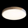 Потолочный светодиодный светильник Loft IT Axel 10004/36 white фото 2 — Дзинь ля-ля