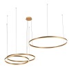 Подвесной светодиодный светильник Loft IT Ring 10017/3L фото 1 — Дзинь ля-ля