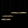 Подвесной светодиодный светильник Loft IT Ring 10017/3L фото 3 — Дзинь ля-ля