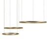 Подвесной светодиодный светильник Loft IT Ring 10017/3L фото 4 — Дзинь ля-ля