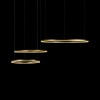 Подвесной светодиодный светильник Loft IT Ring 10017/3S фото 3 — Дзинь ля-ля