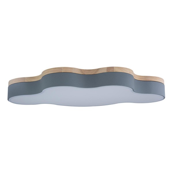Потолочный светодиодный светильник Loft IT Axel 10005/36 grey — Дзинь ля-ля