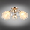 Потолочная люстра Omnilux Caldiero OML-29007-05 фото 4 &mdash; Дзинь ля-ля