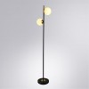 Торшер Arte Lamp Alcor A2224PN-2BK фото 3 &mdash; Дзинь ля-ля